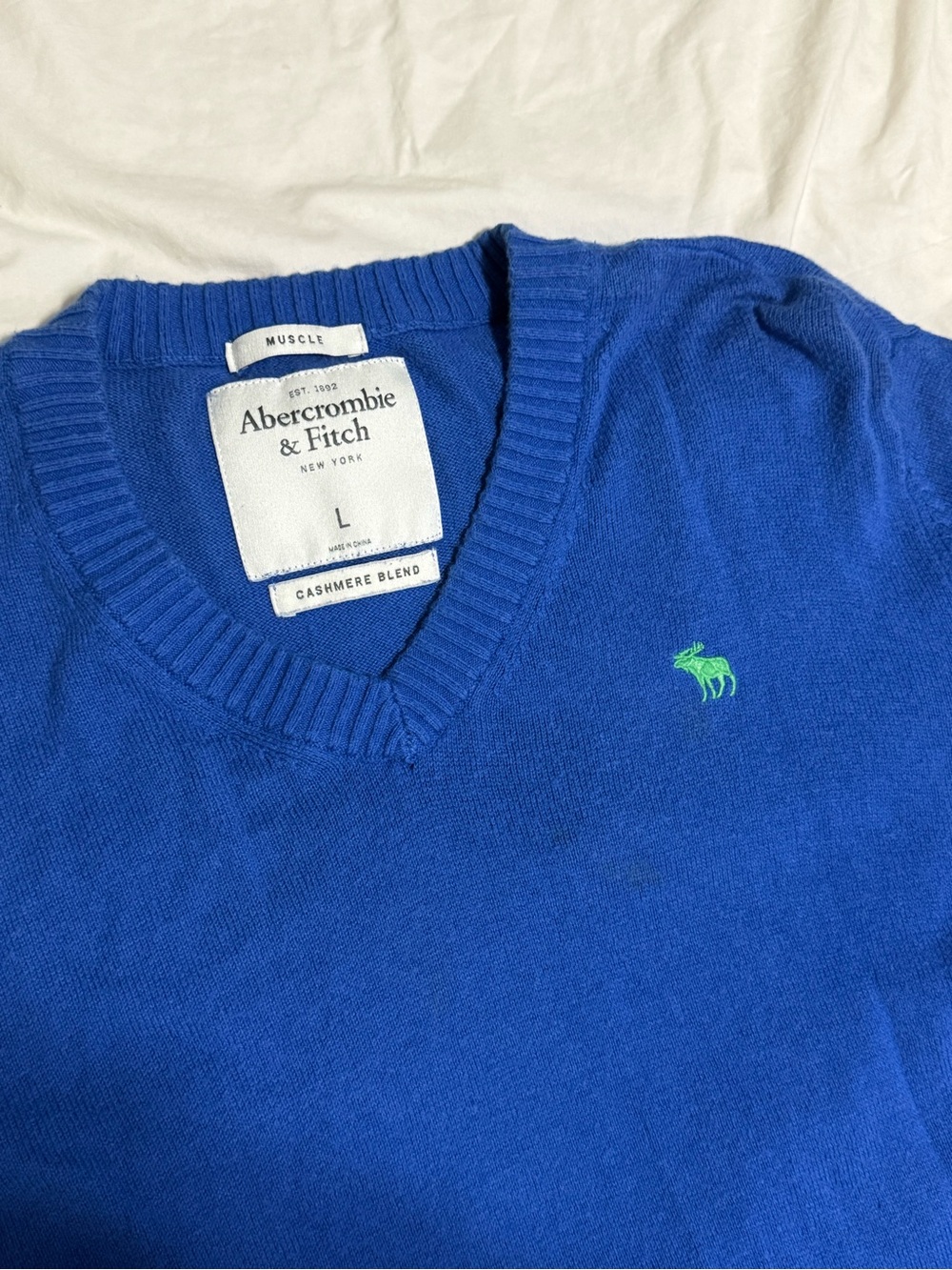 Abercrombie & Fitch Men’s Bright Blue V-Neck Sweater with Green Moose Logo